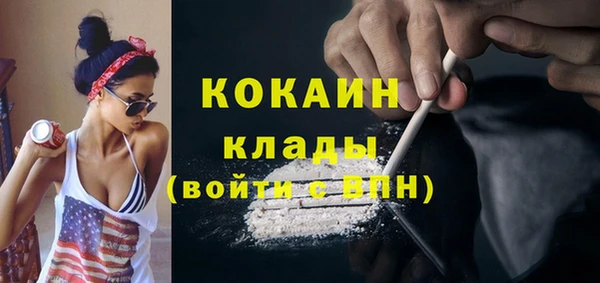 стаф Арсеньев