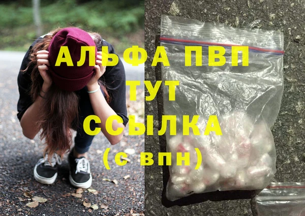 стаф Арсеньев
