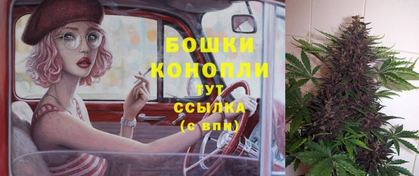 стаф Арсеньев