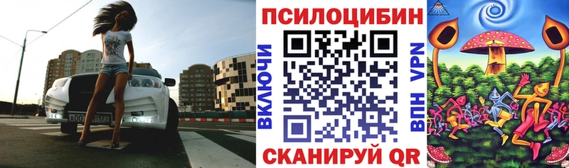 закладки  Усмань  Псилоцибиновые грибы Magic Shrooms 